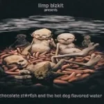 The Chocolate Starfish