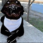 I Heard Your Voice Again - Pressure OST Part 3