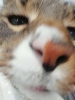 Tick Tock Heavy like a brinks truck