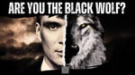 Are you the BLACK WOLF Sigma?