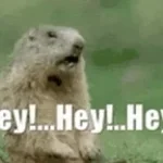 HEY