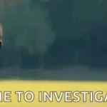 ssstik.io_1771967001653