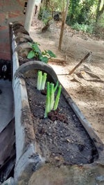 Isto vai te levar para outro mundo