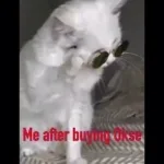 FUNK MTG (KSCERATO TRIBUTO) - Dryver Music (youtube)