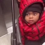 baby falling down stairs