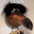 Noooise... oh i hear a voice