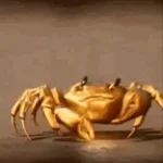PERNA DE CARANGUEJO 1
