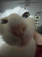 stereotype stayc 2 - Sound