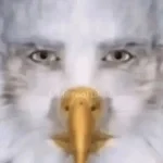 PISTOLO NON CI PRENDI