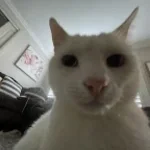 hi guys - omegle boy