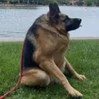 Deixa eu te falar vc come eu e uma amiga minha (1)