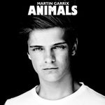 Martin Garrix - Animals (drop melody)