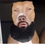 9lives khaos emerald (slowed + reverb) long start - Sound