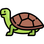 Tartaruga nigous - Sound