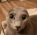 Sonic CD I'm outta here Instant Game Over