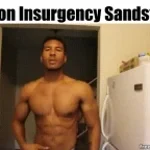 Insurgency-LAST MAN STAND(insurgent)