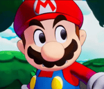 Mario and Luigi Hammer