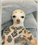 Katy Perry California Gurls (Official Music Video) ft p2