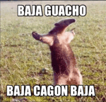 Baja Wacho Baja Cagon