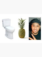toilet ananas nasdas