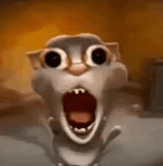 Cat brainrot song