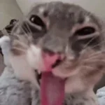 heute ist wieder freitag