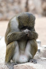 Lullaby of a Deadman