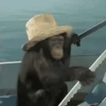 Monkey rasta builds a boat
