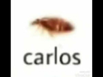 Carlos the roach meme