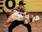 Rodeo remix
