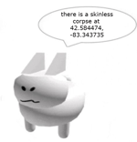 did somebody say pie?