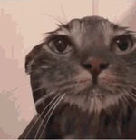 Meg & Dia ; Creatures Lie Here Dubstep