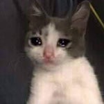 FNAF William Afton's (Springtrap) speech I hate you - Sound