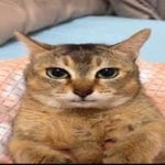 giorno theme bass boosted