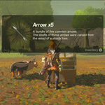 Zelda - BOTW : Item Get