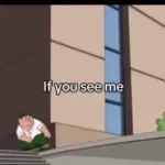 Family guy - EU LEMBRO DE TUDO (copy)