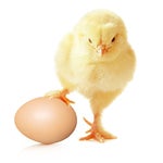 Cek cek day2 by Ruhidaily