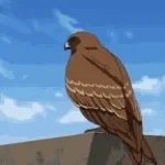 Make Me a Blood Eagle