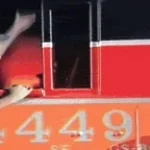 Intro