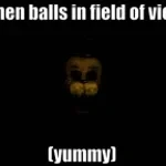 FNAF SB AND FIELD INRO