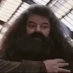 Daddy Hagrid Caught Hermoine