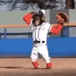 GoneButNotForgotten-Brockmire