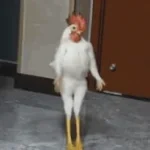 chicken scream