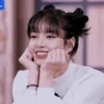 M1911 but with bo1 sound