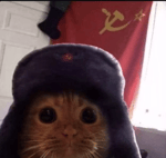 cool music (spectating from RFTI)