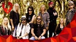 Free bird