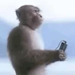 macaco tentando abrir a porta