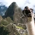 buenos dias peru lindo