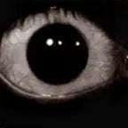 Gemi TRAUMANTE NEGRAZO aa