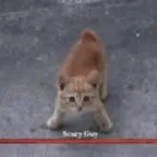 Yee Sound Effect (copy)